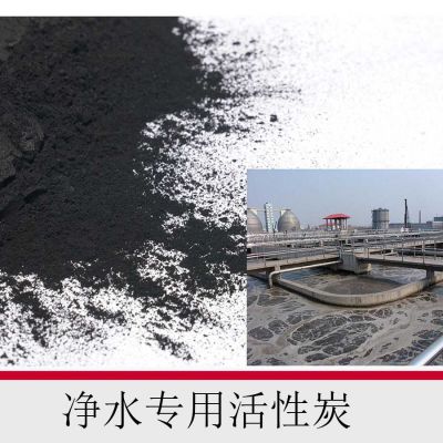 凈水專(zhuān)用活性炭